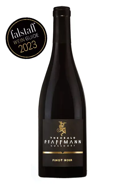 Pinot Noir 2019 trocken - ausgezeichnet falstaff 2023